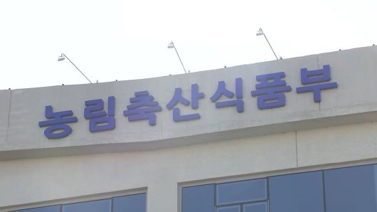 연합뉴스TV