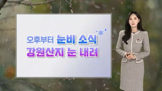 연합뉴스TV