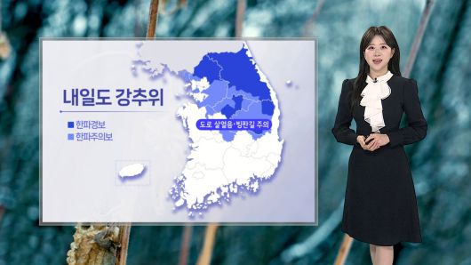 연합뉴스TV