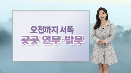 연합뉴스TV