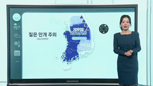 연합뉴스TV
