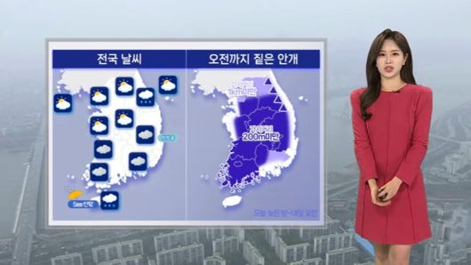연합뉴스TV