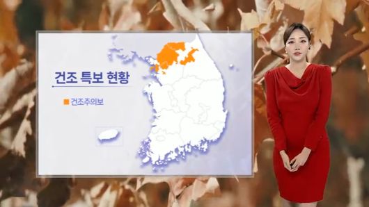 연합뉴스TV