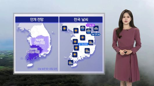 연합뉴스TV