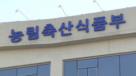 연합뉴스TV