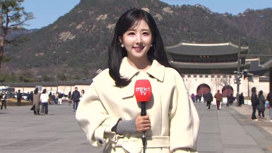 연합뉴스TV