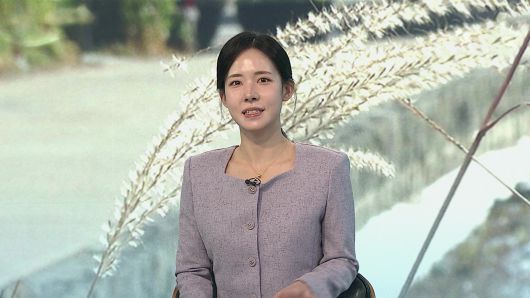 연합뉴스TV