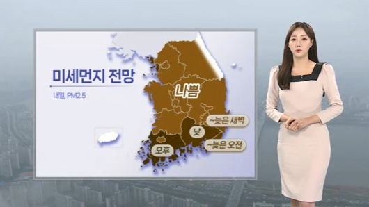 연합뉴스TV