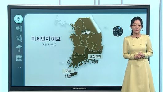 연합뉴스TV