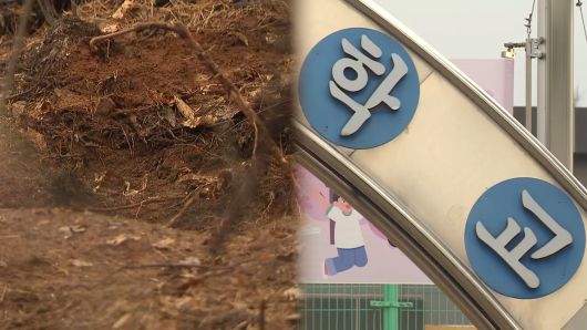 연합뉴스TV