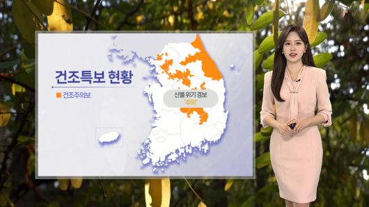 연합뉴스TV