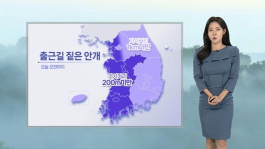 연합뉴스TV