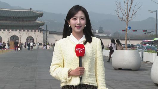 연합뉴스TV