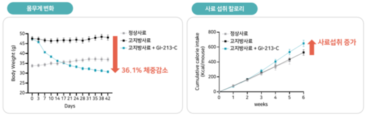 전자신문