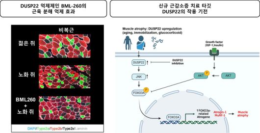 전자신문