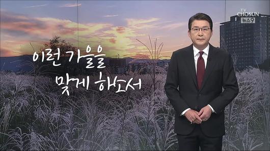 TV조선