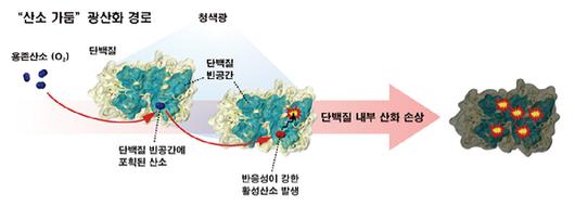 아이뉴스24