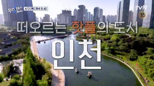 MHN스포츠