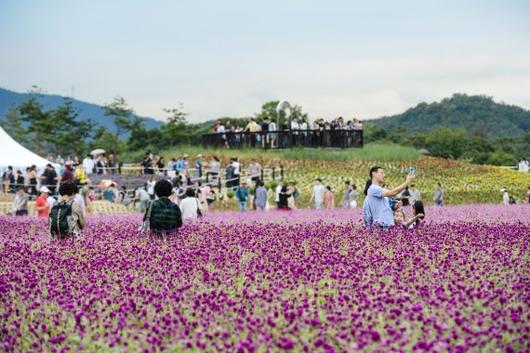 파이낸셜뉴스