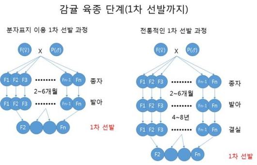 파이낸셜뉴스