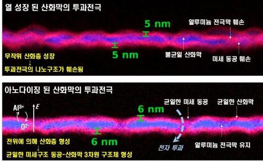 파이낸셜뉴스