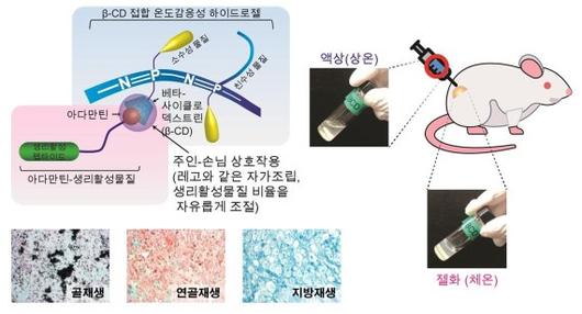 파이낸셜뉴스