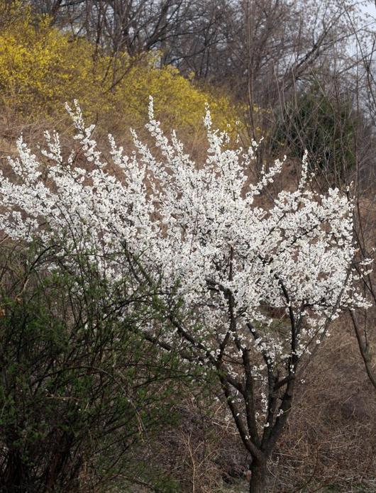 파이낸셜뉴스