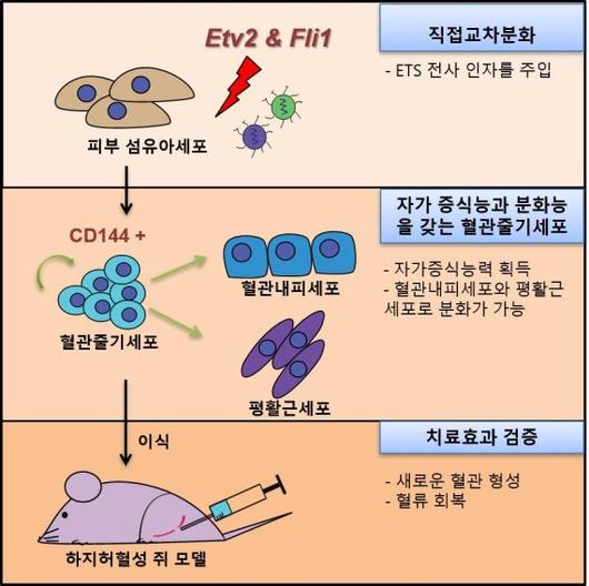 파이낸셜뉴스