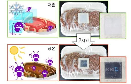 파이낸셜뉴스