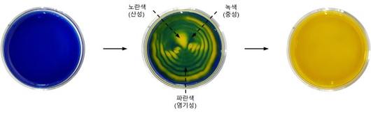 파이낸셜뉴스