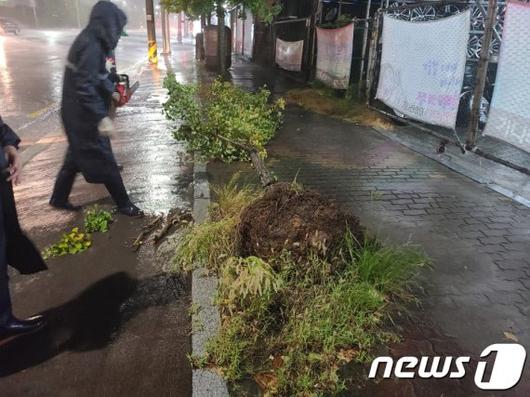 파이낸셜뉴스