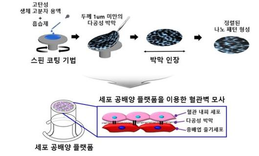 파이낸셜뉴스