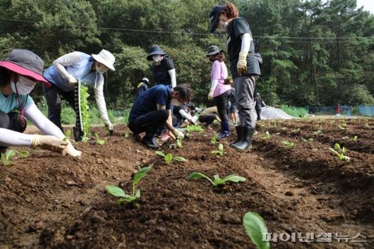 파이낸셜뉴스