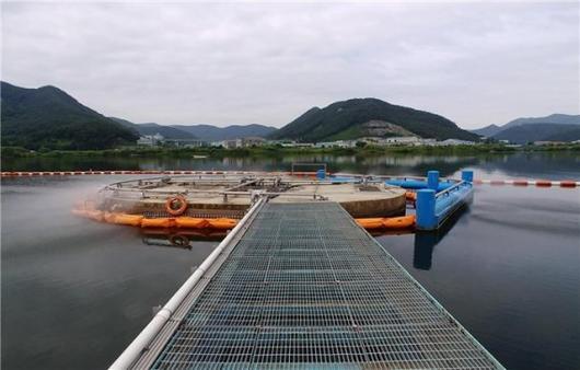 파이낸셜뉴스