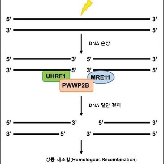 파이낸셜뉴스