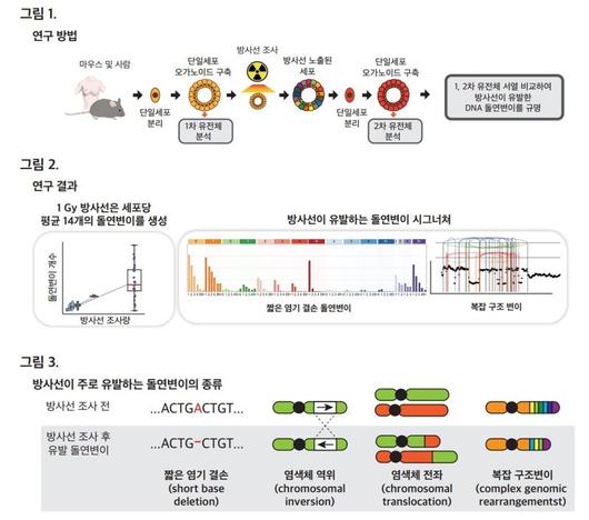 파이낸셜뉴스