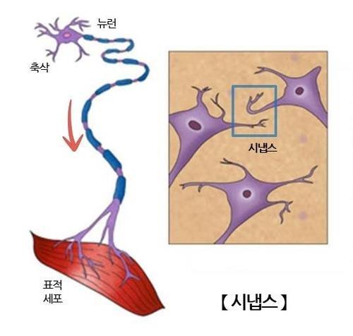 파이낸셜뉴스