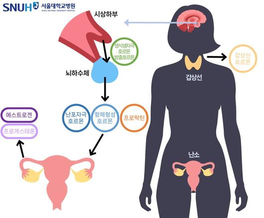 파이낸셜뉴스