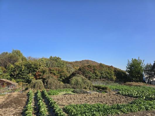 파이낸셜뉴스