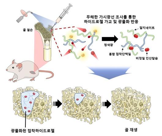 파이낸셜뉴스