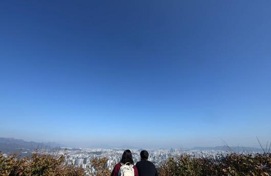 파이낸셜뉴스