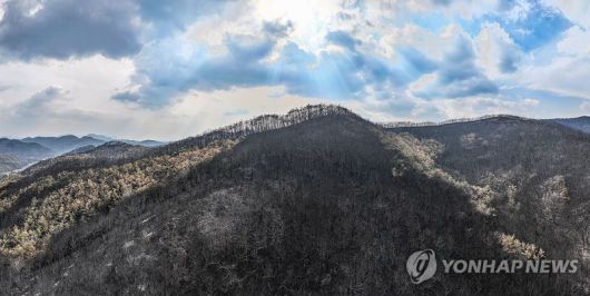 파이낸셜뉴스