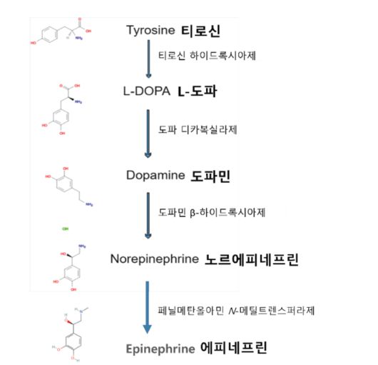 파이낸셜뉴스