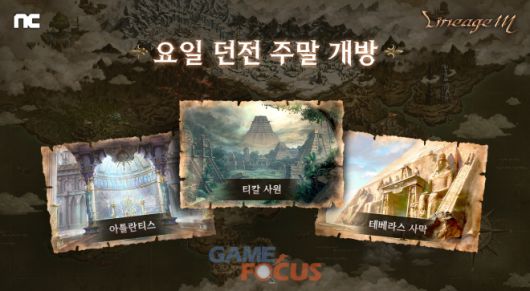 게임포커스