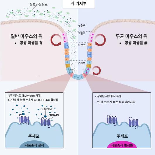 스포츠조선