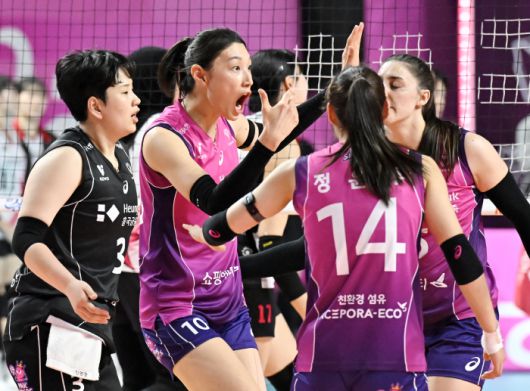 스포츠조선