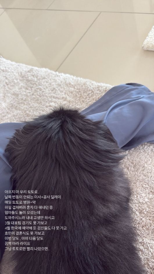 스포츠조선
