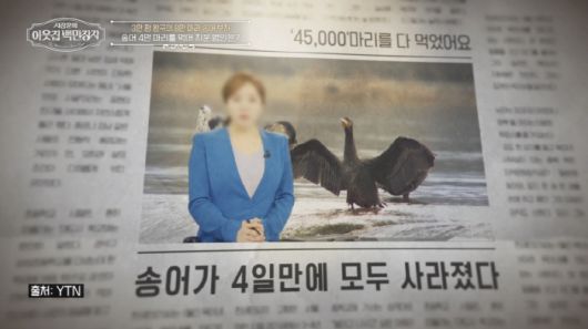 스포츠조선