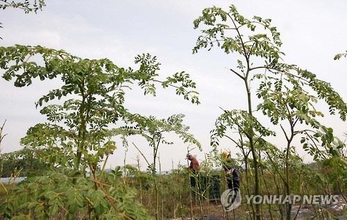 매일경제