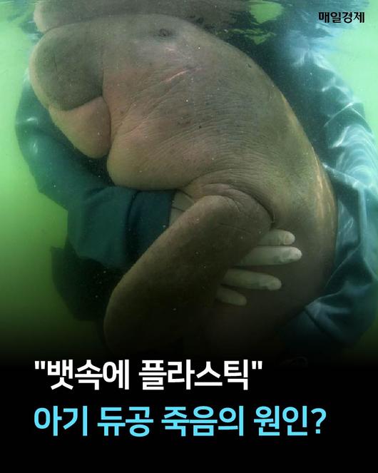 매일경제